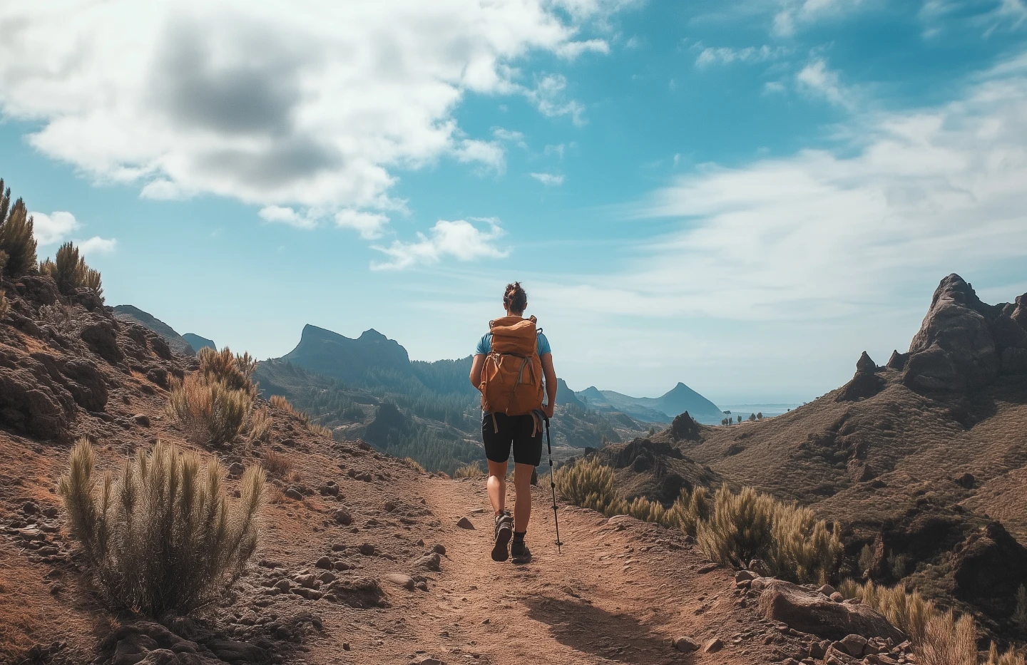 Routes to discover the island