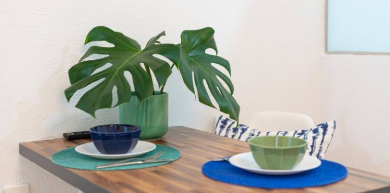 Beach Accommodation Las Canteras (2e) Eclipse — alojamiento MindFit Holidays, foto 5